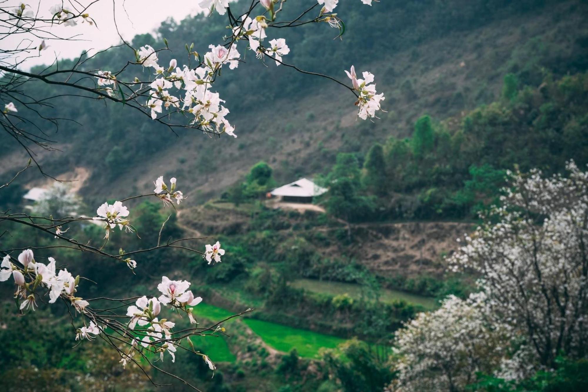 Minh Ngoc Homestay Dien Bien Phu Ban Him Lom Exterior photo