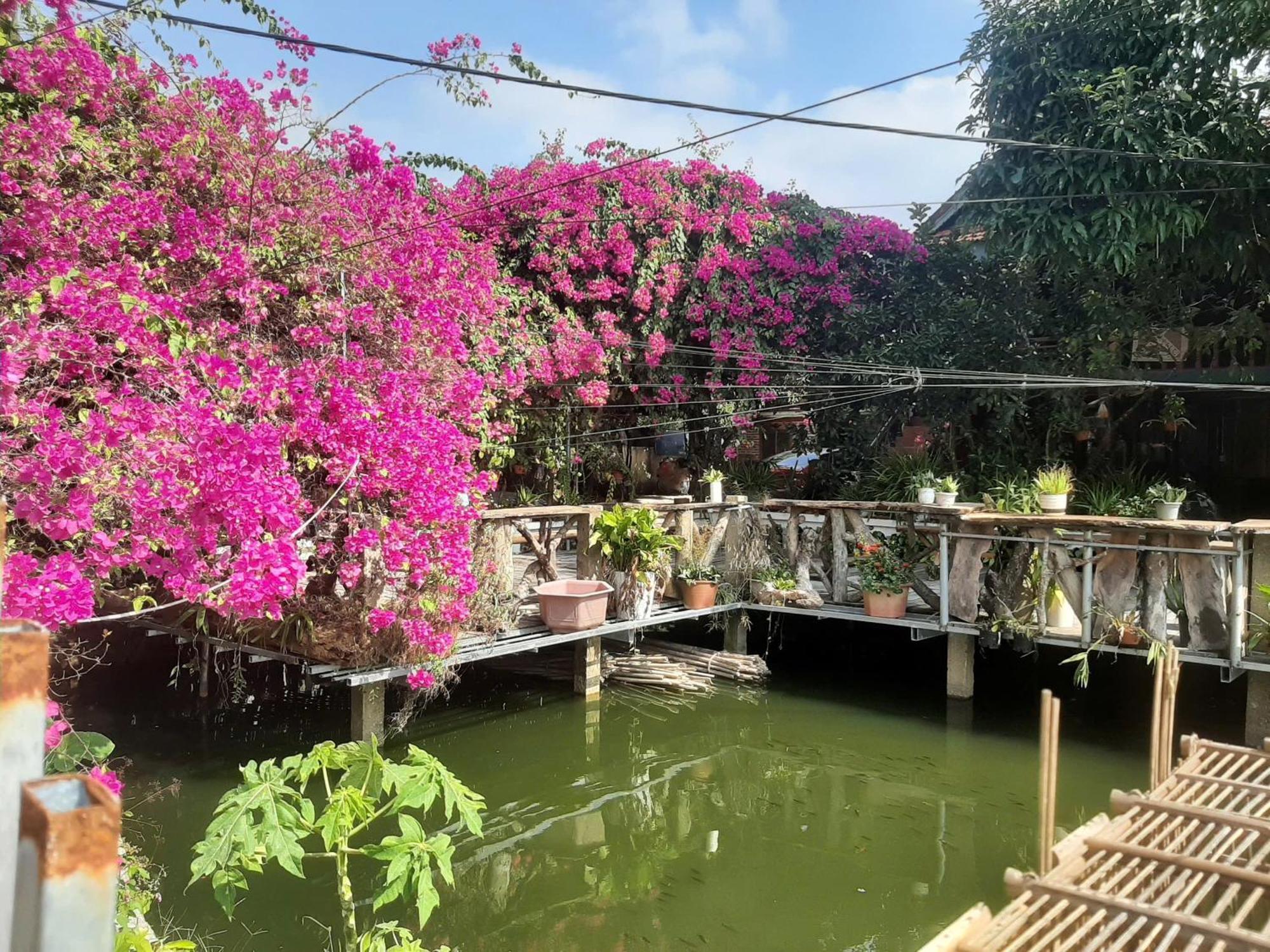 Minh Ngoc Homestay Dien Bien Phu Ban Him Lom Exterior photo