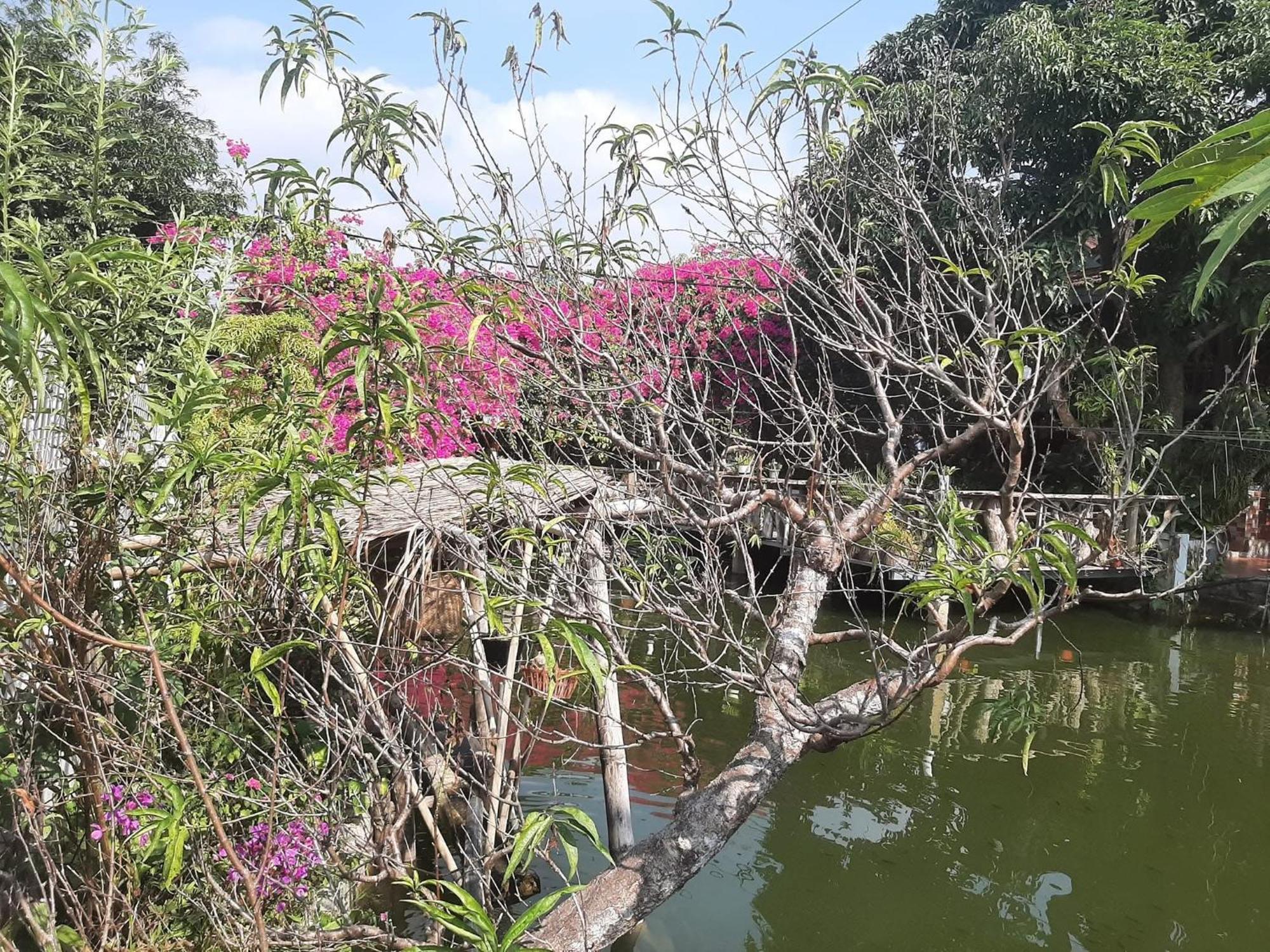 Minh Ngoc Homestay Dien Bien Phu Ban Him Lom Exterior photo