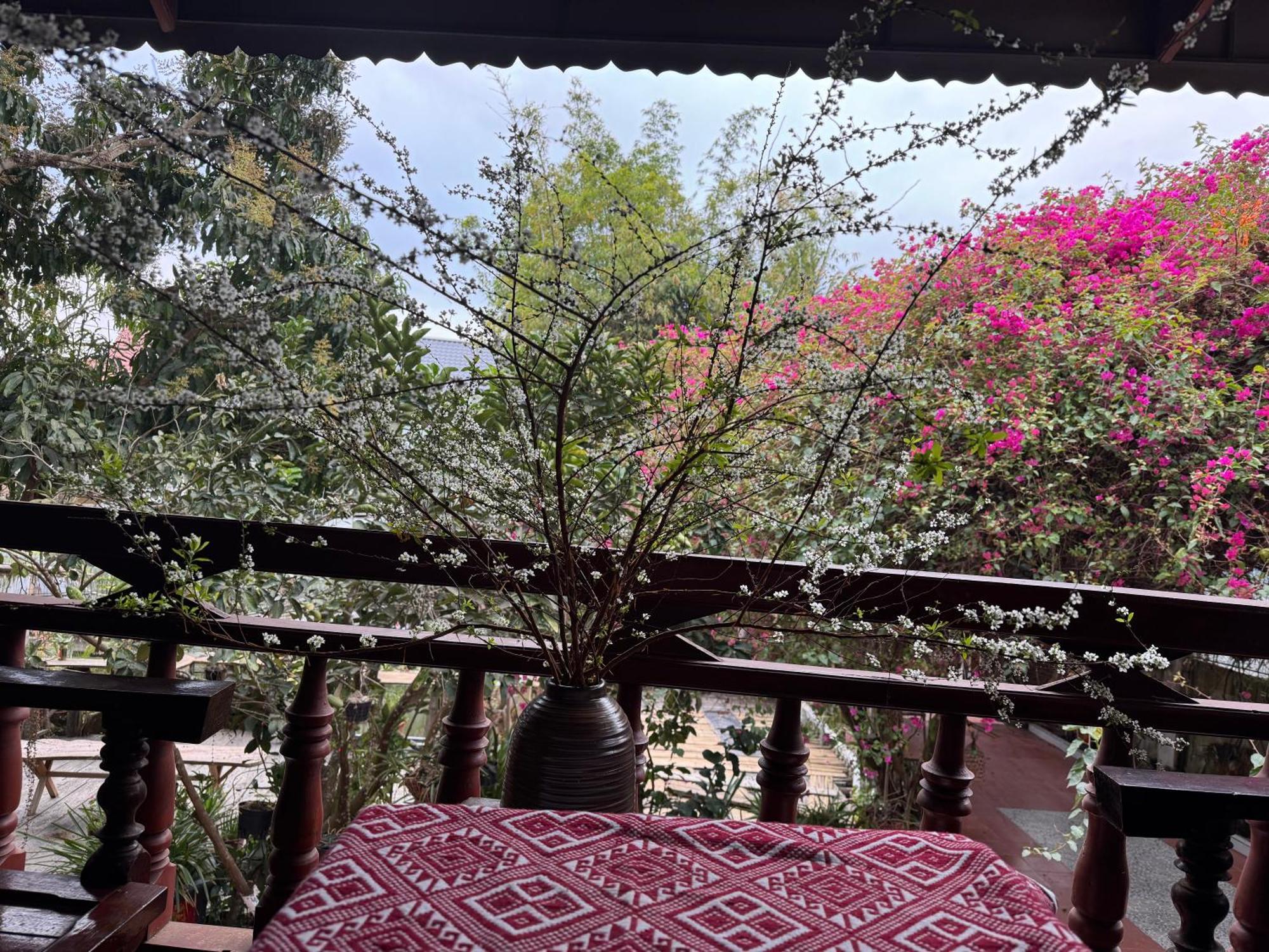Minh Ngoc Homestay Dien Bien Phu Ban Him Lom Exterior photo